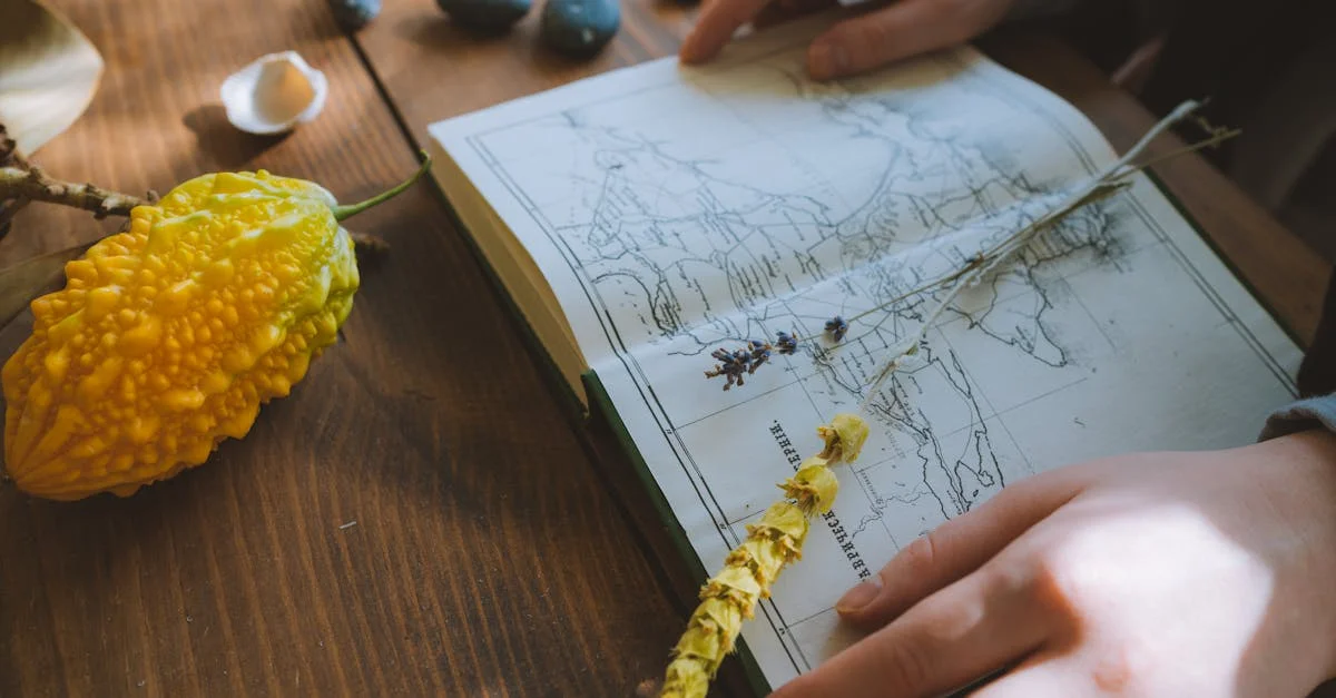 Using Influence Mapping to Understand Stakeholder Power and Interests