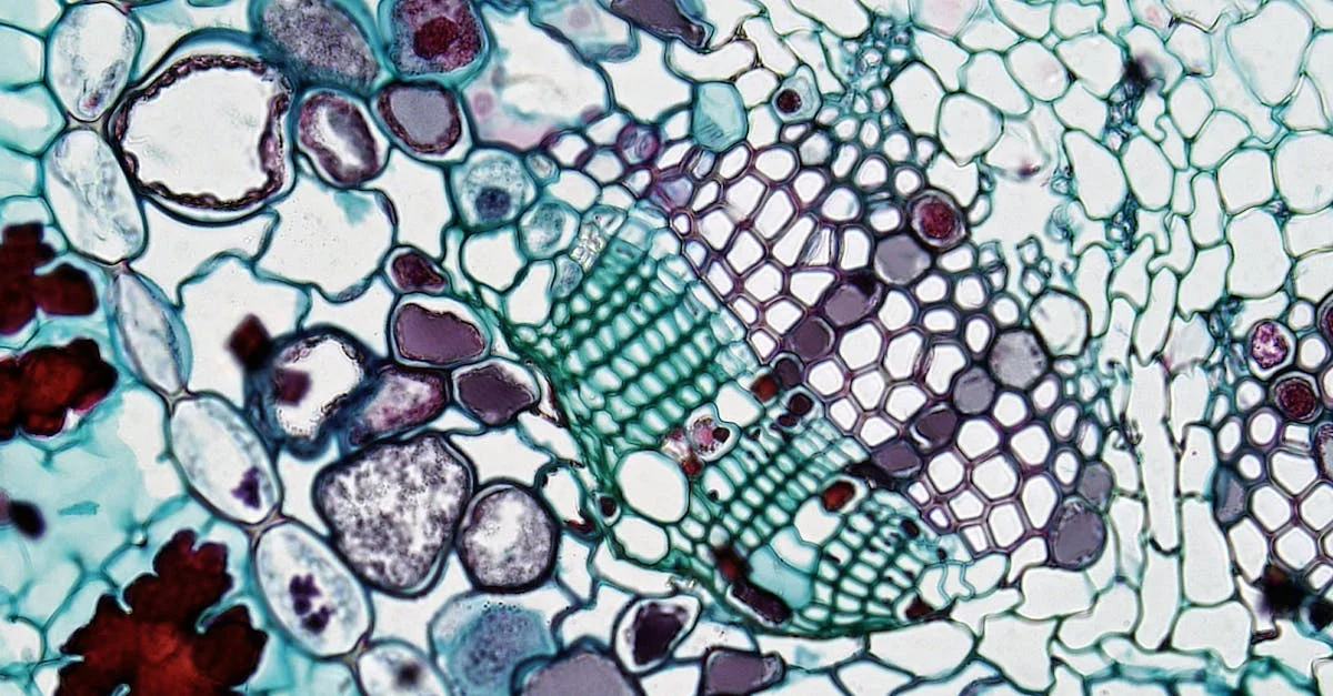 Excel Conditional Formatting: Visually Flag Cells Meeting Criteria