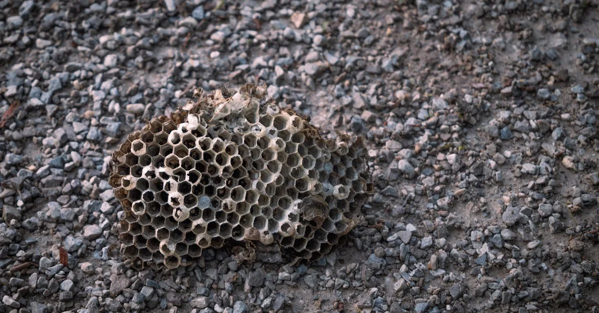 SQL Subqueries: Embed Inner Query within Main Query